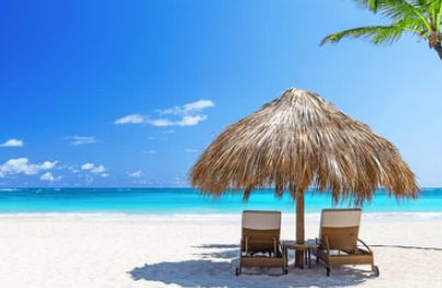 Punta Cana Airport Transportation Reviews