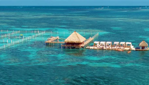 things to do in punta cana