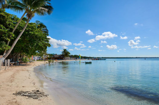 Santo Domingo to Las Terrenas Private Transfer