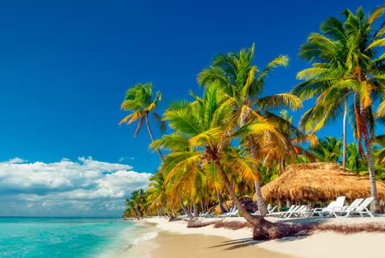 Chofer Privado para Tour en Dominicana