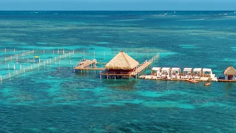 Collage de actividades y experiencias turísticas en Punta Cana, destacando la variedad de opciones para el entretenimiento, el deporte y la diversión bajo el sol.