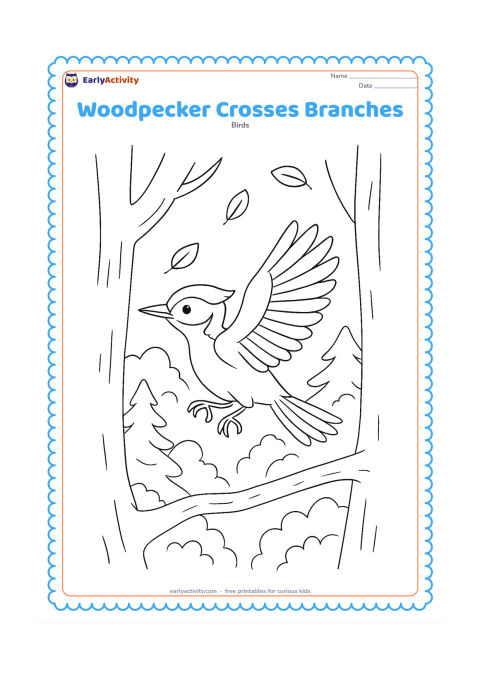 Colouring page: A woodpecker flies between two sturdy branches, wings open and feet reaching toward the branch ahead. Include layered woodland trees and a few floating leaves.