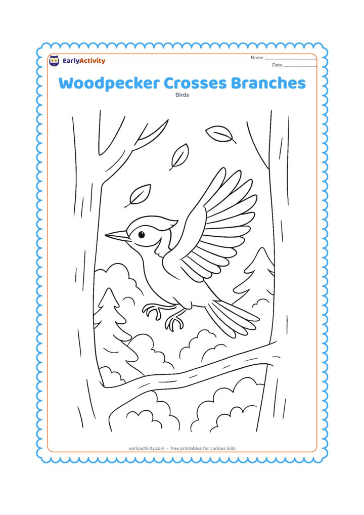 Colouring page: A woodpecker flies between two sturdy branches, wings open and feet reaching toward the branch ahead. Include layered woodland trees and a few floating leaves.