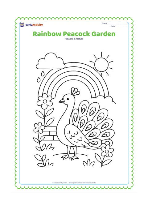 Colouring page: Draw a peacock with its tail partly fanned beneath a rainbow, surrounded by flowers, leaves and a small garden wall. Add a cloud with a few raindrops and a sunlit patch of ground.