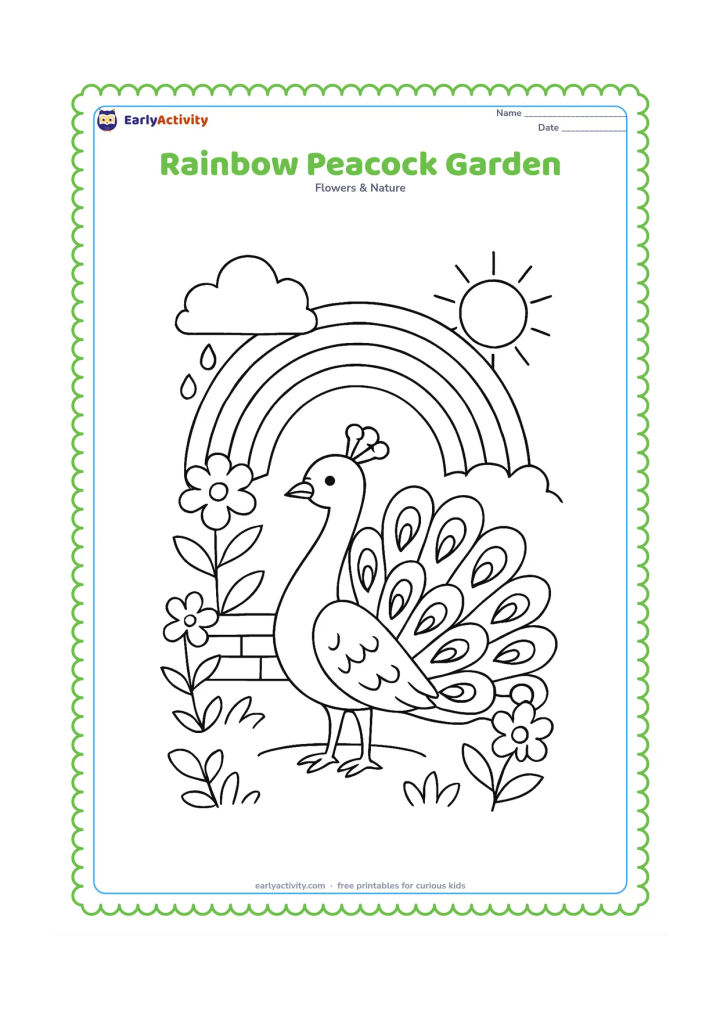 Colouring page: Draw a peacock with its tail partly fanned beneath a rainbow, surrounded by flowers, leaves and a small garden wall. Add a cloud with a few raindrops and a sunlit patch of ground.
