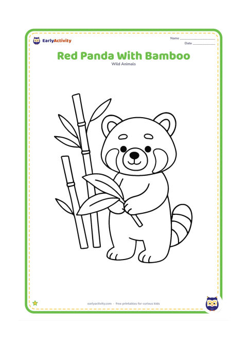 Colouring page: Draw a standing red panda holding one large bamboo leaf in its front paws. Place three simple bamboo stems behind it and leave plenty of open space around the animal.