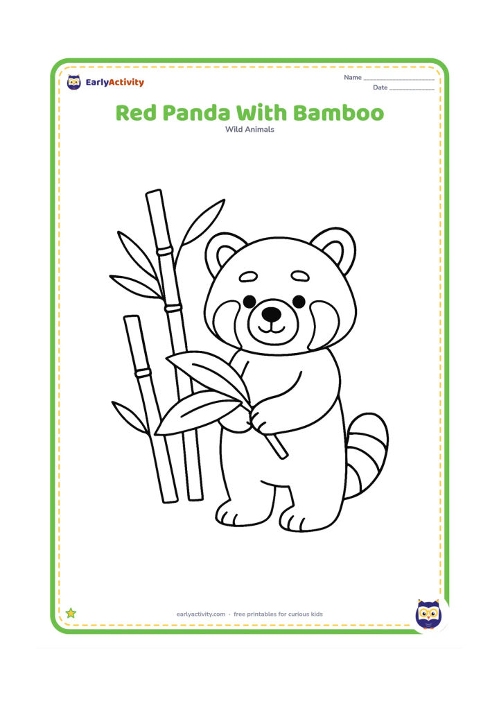 Colouring page: Draw a standing red panda holding one large bamboo leaf in its front paws. Place three simple bamboo stems behind it and leave plenty of open space around the animal.
