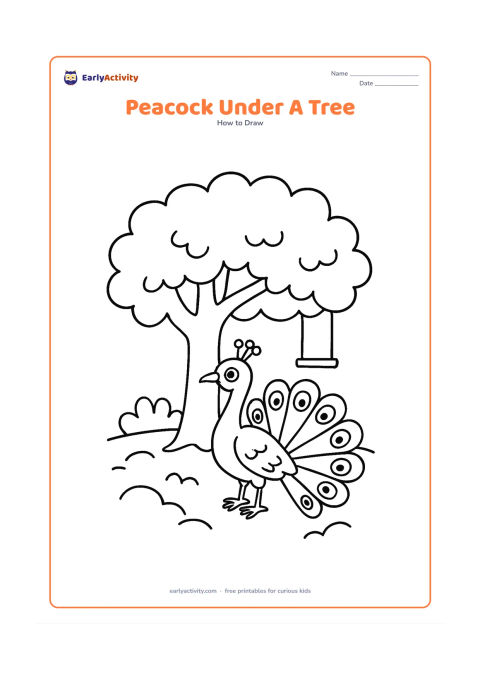 Worksheet: A peacock stands beneath a broad tree canopy with its tail fanned toward the viewer. Add a thick trunk, several large leaves, scattered ground curves and a small hanging bird-free swing…