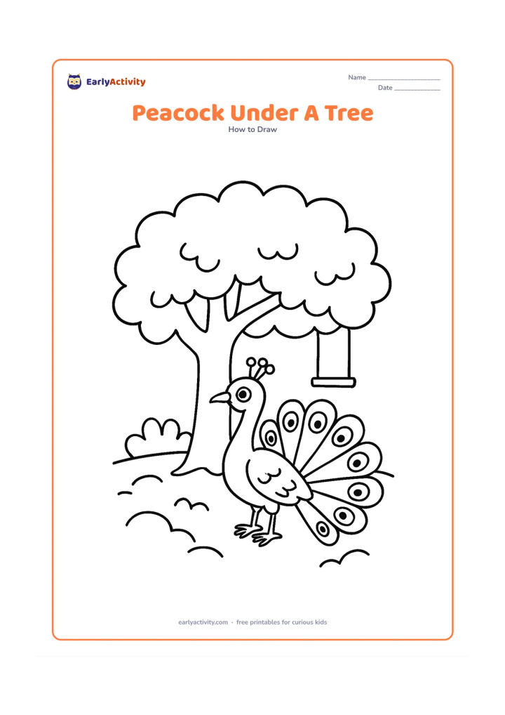Worksheet: A peacock stands beneath a broad tree canopy with its tail fanned toward the viewer. Add a thick trunk, several large leaves, scattered ground curves and a small hanging bird-free swing…