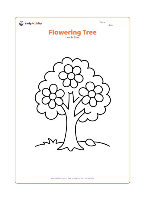 Worksheet: Show a short tree with three thick branches and large flower shapes scattered among rounded leaf groups. Add a simple grassy ground and one fallen petal near the trunk.