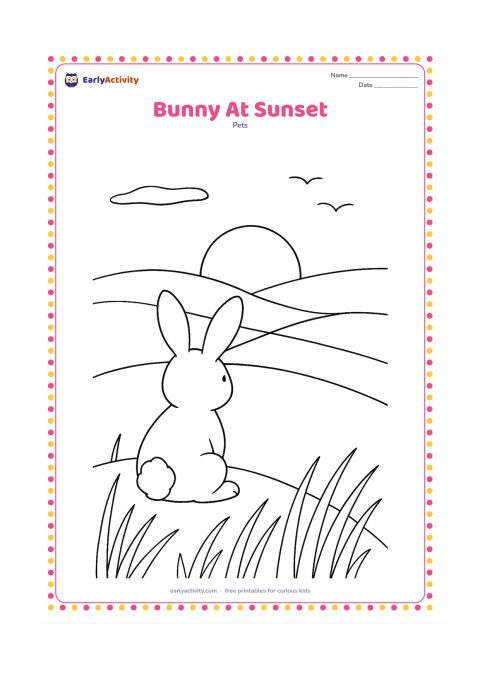 Colouring page: Draw a bunny sitting on a hill watching the setting sun over fields, with long grass in the foreground and two birds far in the sky. Use layered hills and a large round sun to show the…