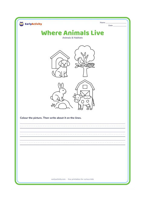 Worksheet: Place four animals near their homes: a dog beside a kennel, a bird beside a nest in a tree, a rabbit beside a burrow opening and a cow beside a shed. Keep each animal-home pair separated…