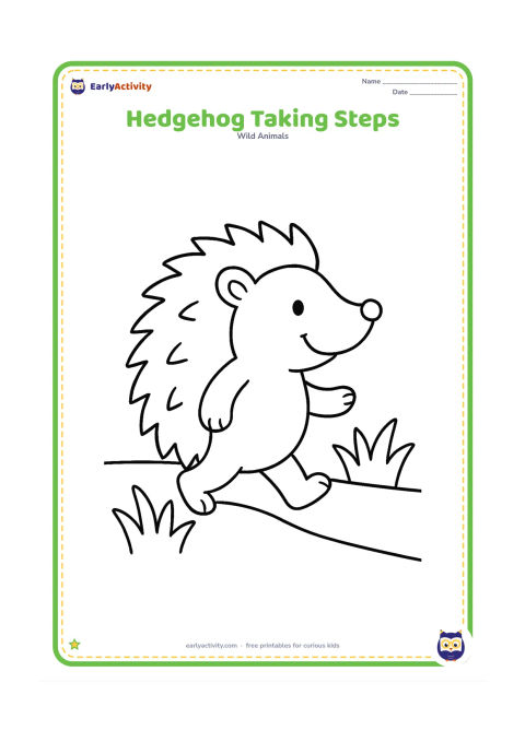 Colouring page: Draw a cheerful hedgehog walking to the right with one front paw lifted. Add a simple path and two large tufts of grass.