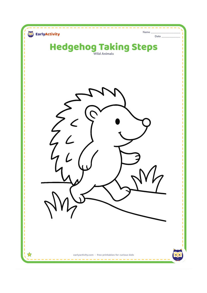 Colouring page: Draw a cheerful hedgehog walking to the right with one front paw lifted. Add a simple path and two large tufts of grass.