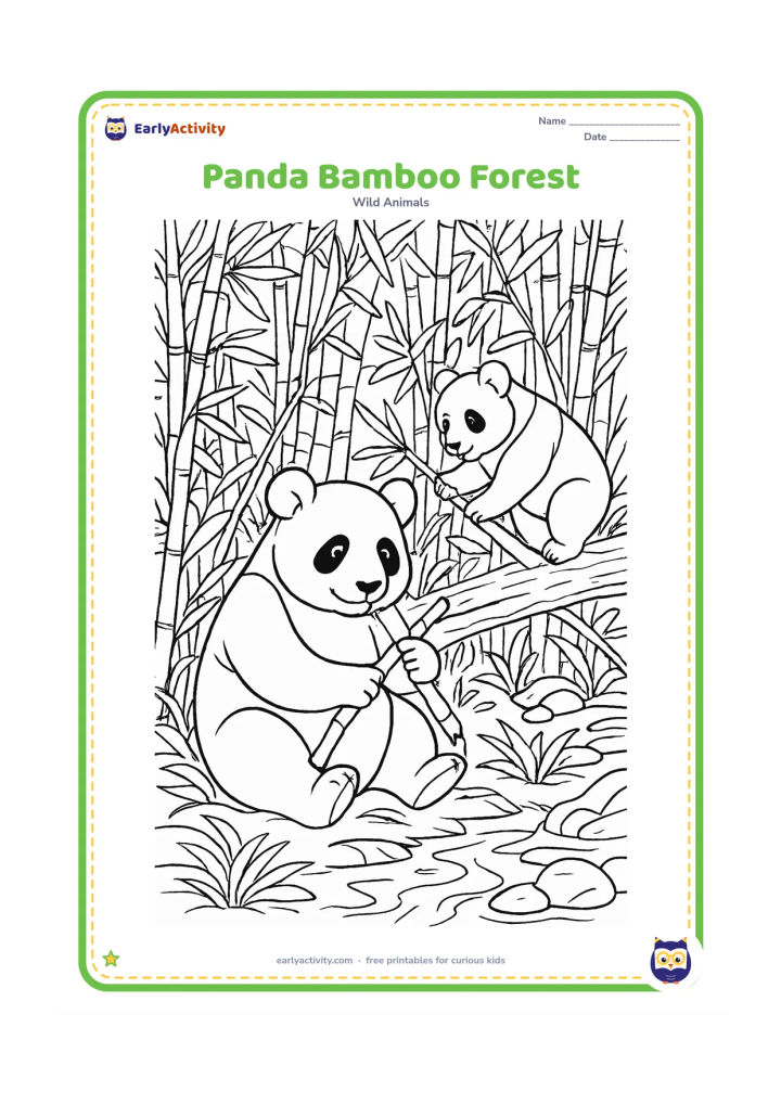 Colouring page: A panda sits among dense bamboo, breaking a stalk while another panda climbs a low fallen trunk behind it. Add layered bamboo leaves, roots, stones and a small stream.