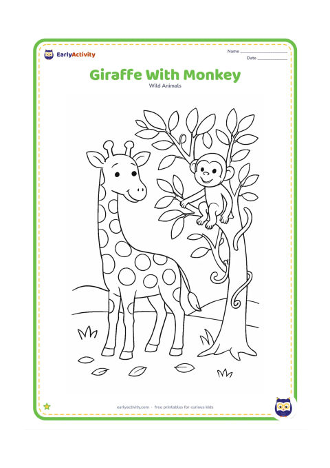 Colouring page: A giraffe stands beside a leafy tree while a smiling monkey sits on a low branch above its shoulder. Include vines, grass, a few fallen leaves and a distant hill.