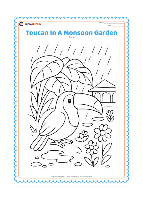 Colouring page: A toucan shelters beneath broad tropical leaves after rain, with puddles, curved raindrop lines, flowering plants, and a small stone path. Include a simple Indian-style covered veranda…