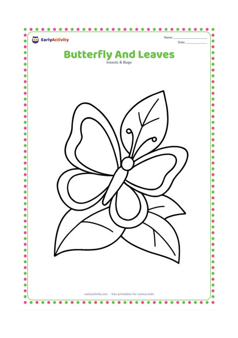 Colouring page: Draw one large butterfly perched on a broad tropical leaf, with two smaller leaves behind it. Show the wings open and the body, antennae, and six legs clearly.