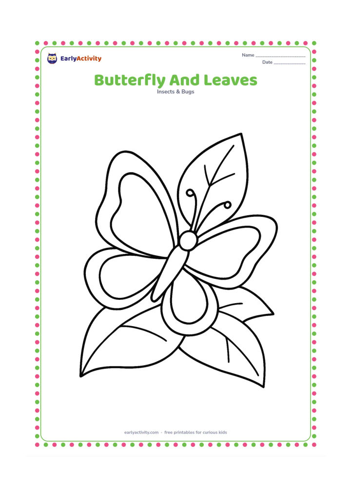 Colouring page: Draw one large butterfly perched on a broad tropical leaf, with two smaller leaves behind it. Show the wings open and the body, antennae, and six legs clearly.