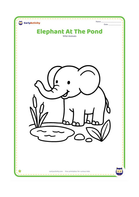 Colouring page: A cheerful elephant stands beside a small pond, lifting its trunk to drink. Include a few reeds, round stones, and two large leafy plants.