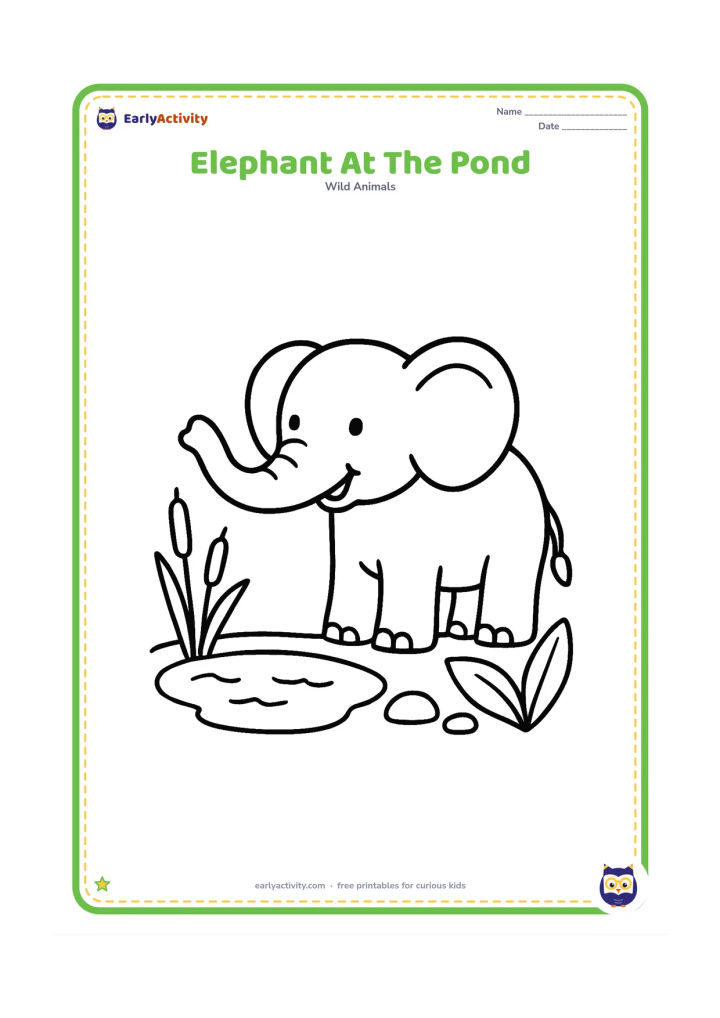 Colouring page: A cheerful elephant stands beside a small pond, lifting its trunk to drink. Include a few reeds, round stones, and two large leafy plants.