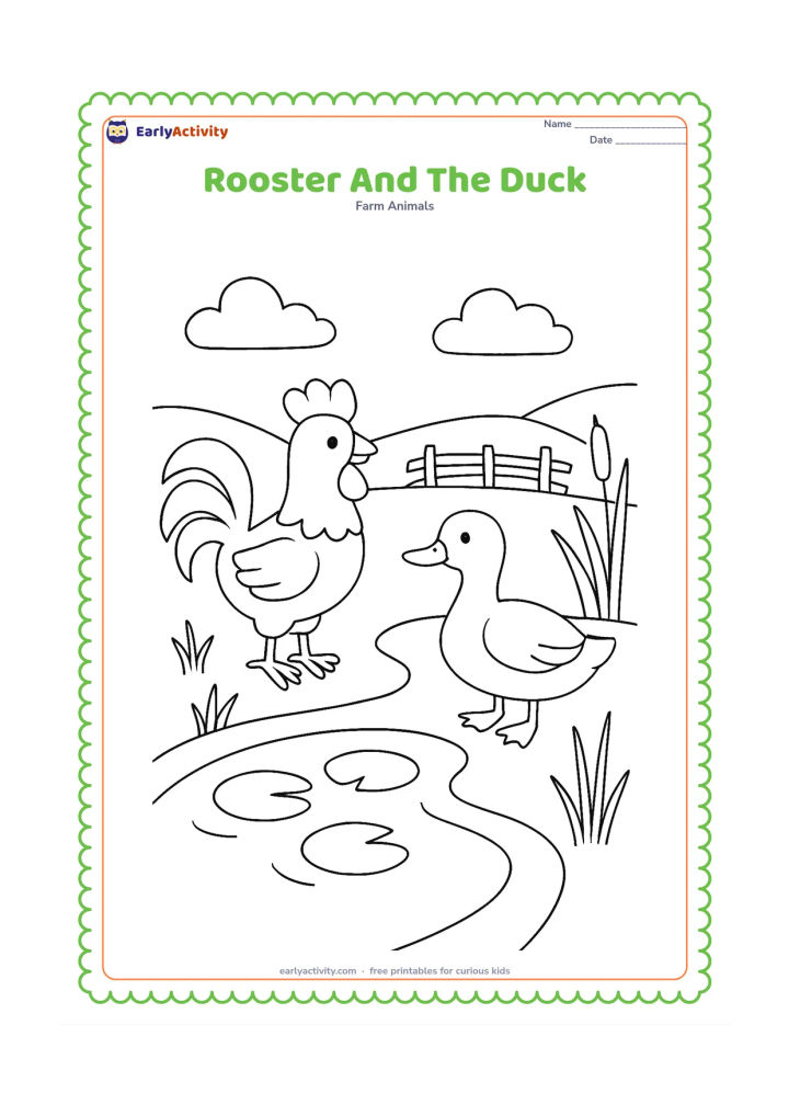 Colouring page: Draw a rooster beside a duck at the edge of a small pond. Include lily pads, reeds, a curved footpath and a fence in the distance.