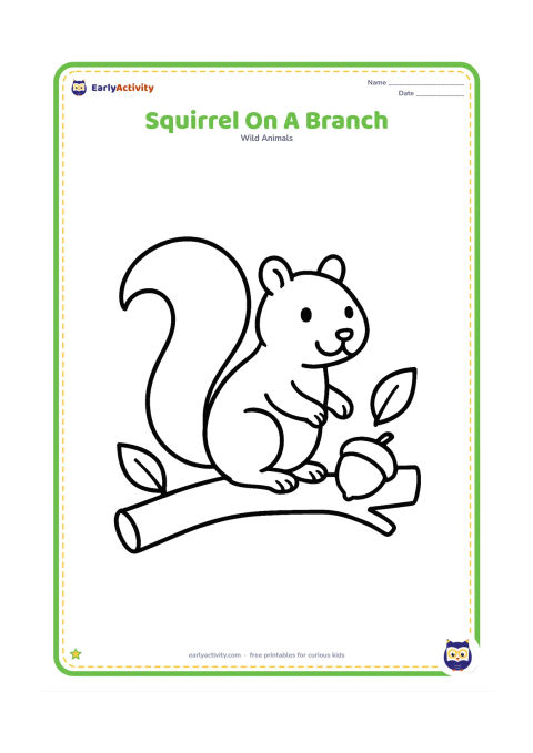 Colouring page: Draw one friendly squirrel sitting on a thick, low tree branch with a large bushy tail, one round acorn, and two simple leaves.