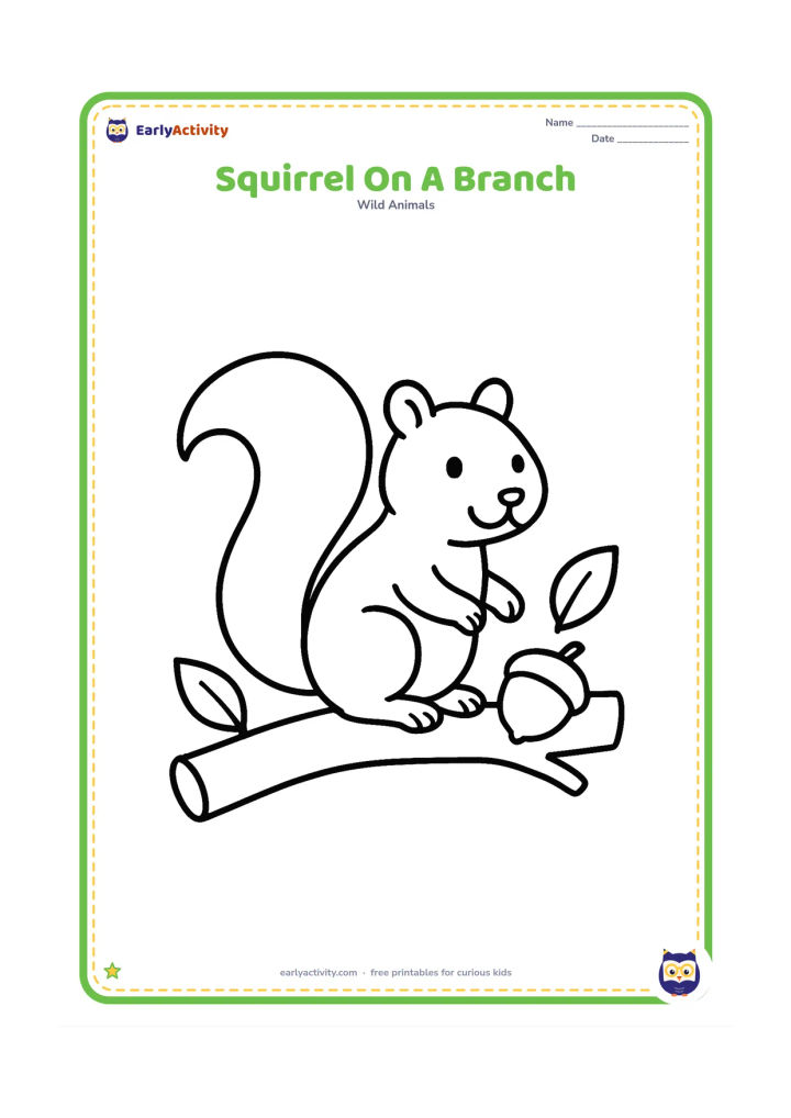 Colouring page: Draw one friendly squirrel sitting on a thick, low tree branch with a large bushy tail, one round acorn, and two simple leaves.