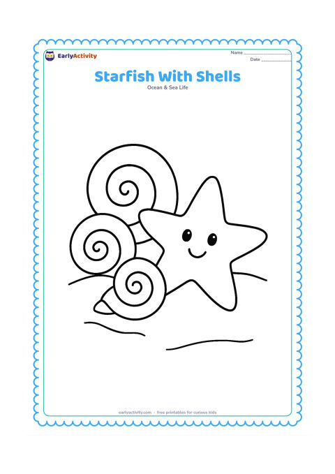 Colouring page: Draw one large starfish beside three oversized spiral shells on a simple beach surface.