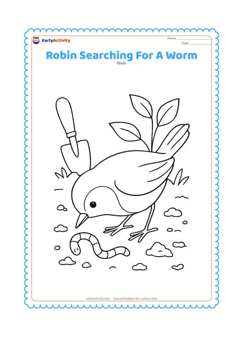 Colouring page: Draw a robin leaning forward with its beak near loose soil while searching for a worm. Include a small garden trowel, several soil clumps and two leafy plants in the background.