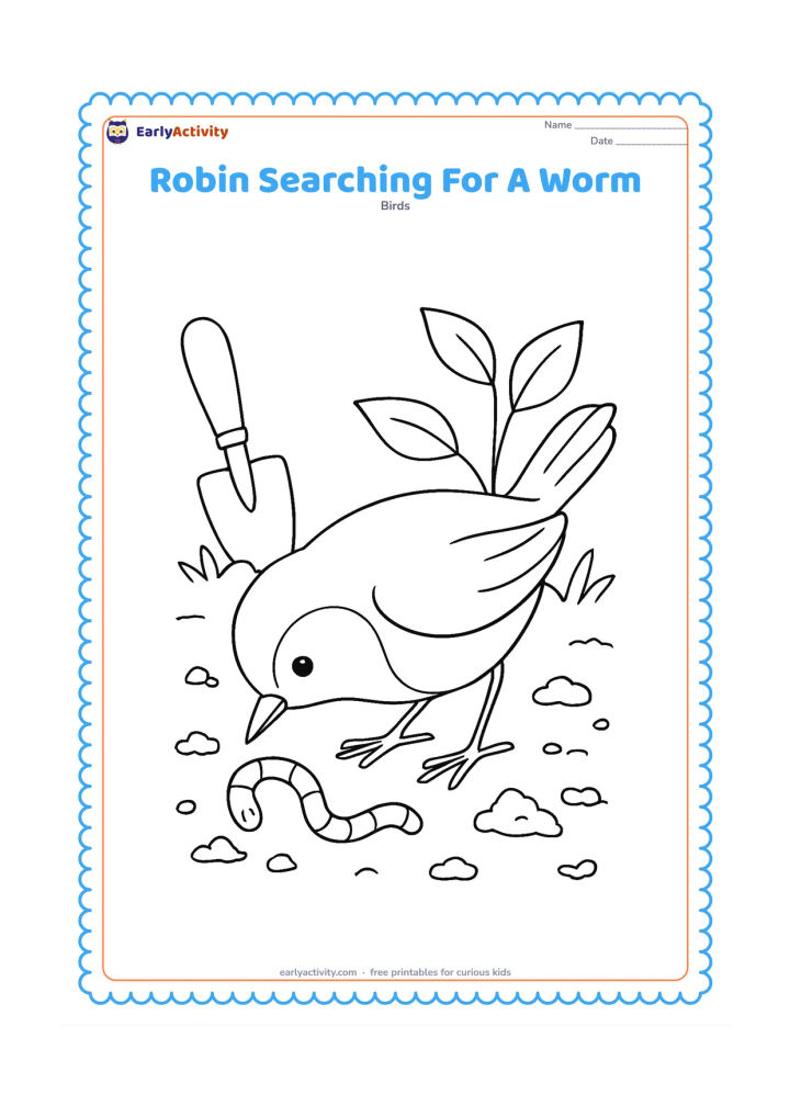 Colouring page: Draw a robin leaning forward with its beak near loose soil while searching for a worm. Include a small garden trowel, several soil clumps and two leafy plants in the background.