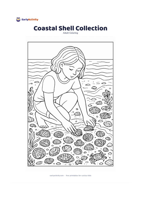 Colouring page: A person crouching at the shoreline and examining shells in a shallow beach pool. Surround them with varied shells, seaweed, smooth stones, tiny crabs, foam curves and a calm horizon.