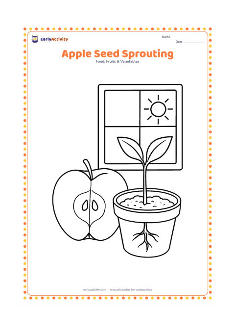 Colouring page: Draw an apple half with visible seeds beside a small pot where one apple seed has sprouted into a young plant. Include soil texture, two leaves and a sunny window behind it.