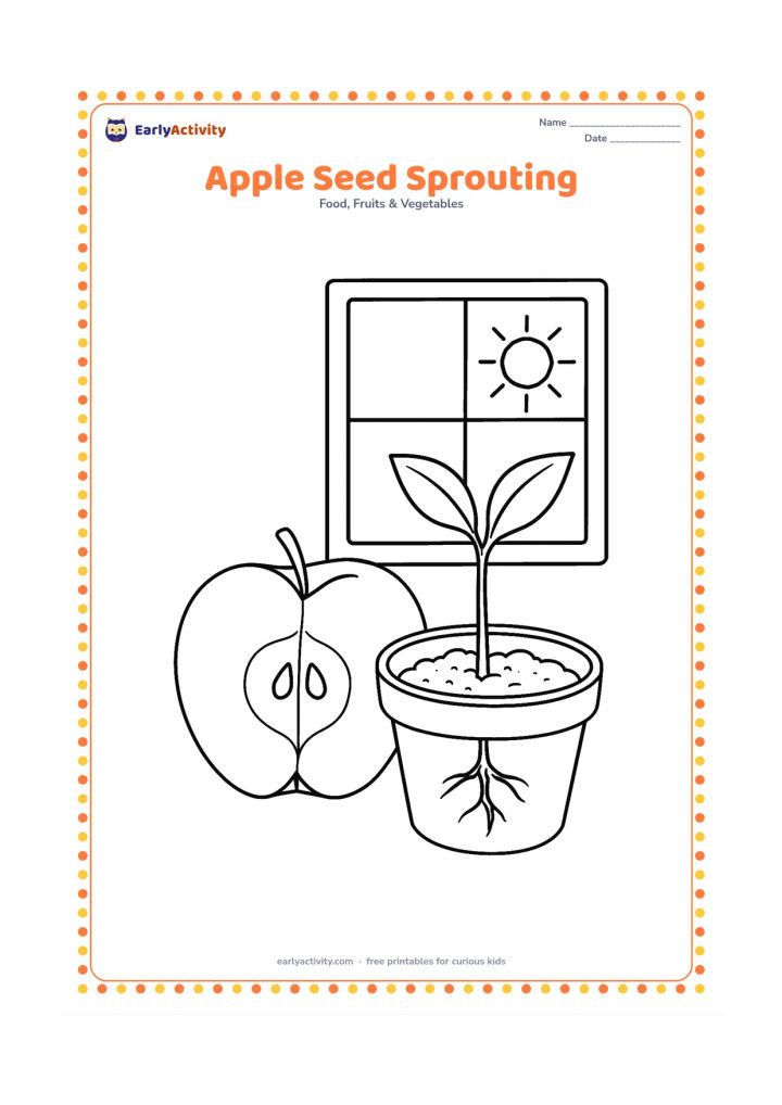 Colouring page: Draw an apple half with visible seeds beside a small pot where one apple seed has sprouted into a young plant. Include soil texture, two leaves and a sunny window behind it.