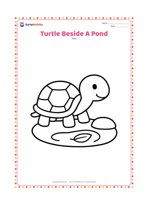 Colouring page: A pet turtle sits beside a small pond with a curved edge, one floating leaf and a low stone. Show the turtle in a clear side view.