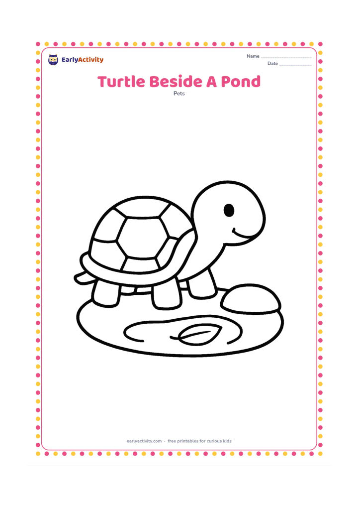 Colouring page: A pet turtle sits beside a small pond with a curved edge, one floating leaf and a low stone. Show the turtle in a clear side view.