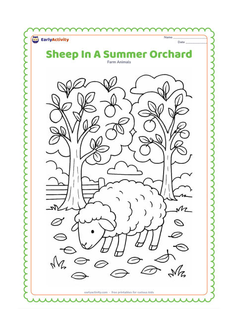 Colouring page: A sheep grazes beneath fruit trees in a sunny orchard, with fallen leaves, a low fence, grass, clouds and a few plain round fruits on the branches. Do not add any signs or writing.