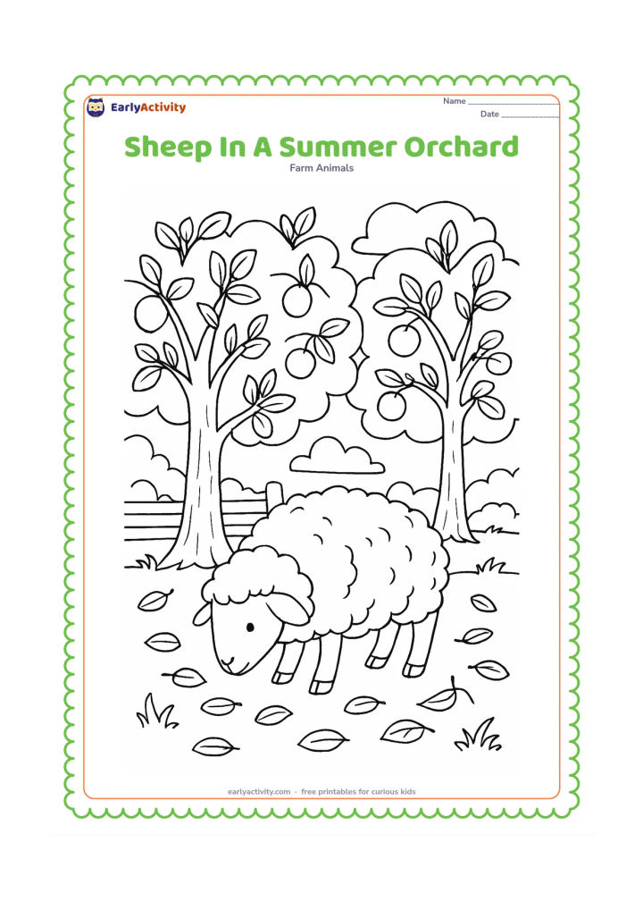 Colouring page: A sheep grazes beneath fruit trees in a sunny orchard, with fallen leaves, a low fence, grass, clouds and a few plain round fruits on the branches. Do not add any signs or writing.