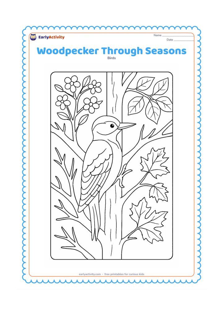 Colouring page: A central woodpecker clings to a tree divided into four natural sections showing spring blossoms, summer leaves, autumn leaves and winter bare branches. Keep the bird continuous and…