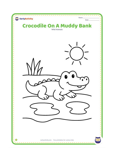 Colouring page: Draw a friendly crocodile lying on a broad muddy riverbank, with two large puddles, a simple sun, and a few oversized grass leaves. Show its four legs and long tail clearly.