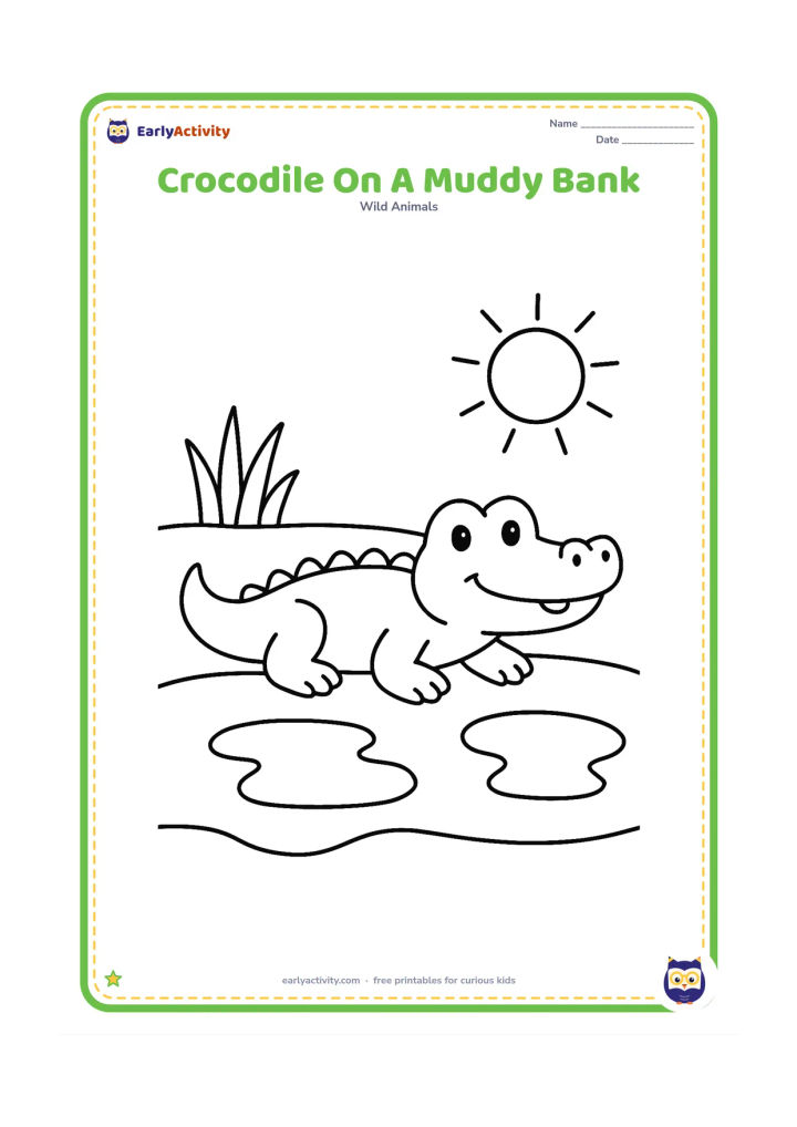 Colouring page: Draw a friendly crocodile lying on a broad muddy riverbank, with two large puddles, a simple sun, and a few oversized grass leaves. Show its four legs and long tail clearly.
