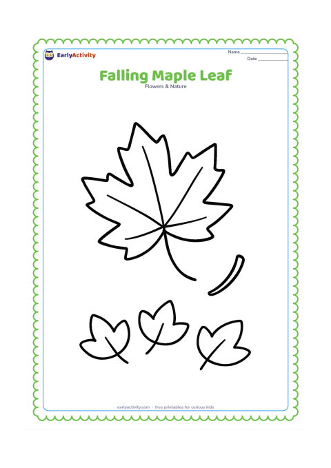 Colouring page: A large simple maple-shaped leaf drifting downward beside one short curved stem, with three oversized leaves on the ground below.