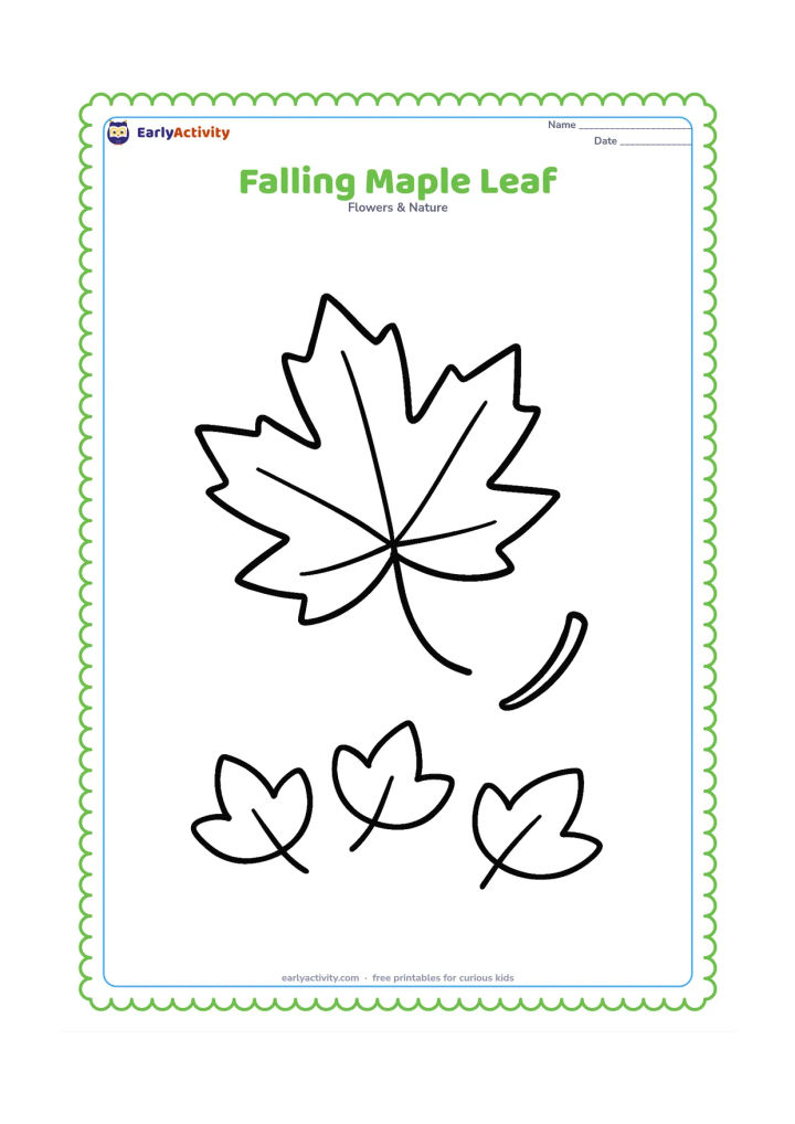 Colouring page: A large simple maple-shaped leaf drifting downward beside one short curved stem, with three oversized leaves on the ground below.