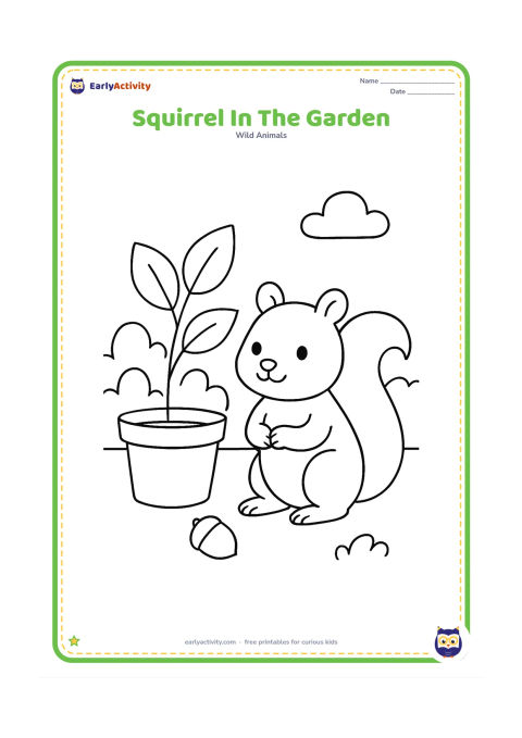 Colouring page: Draw a squirrel beside a simple home garden with a broad plant pot, two large leaves, and one fallen nut.