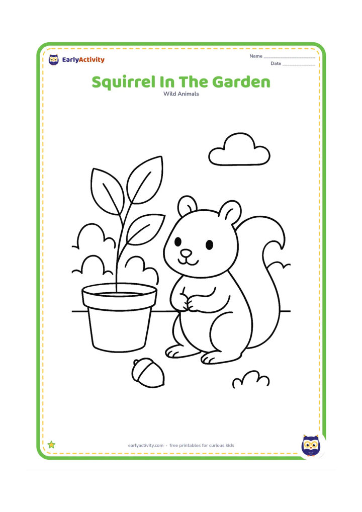 Colouring page: Draw a squirrel beside a simple home garden with a broad plant pot, two large leaves, and one fallen nut.