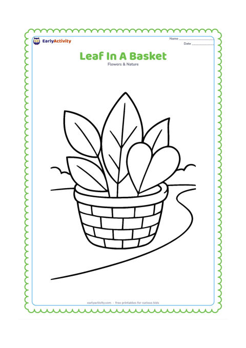 Colouring page: A small woven basket holds several large leaves of different simple shapes, including an oval, a pointed leaf and a heart-shaped leaf, beside a garden path.