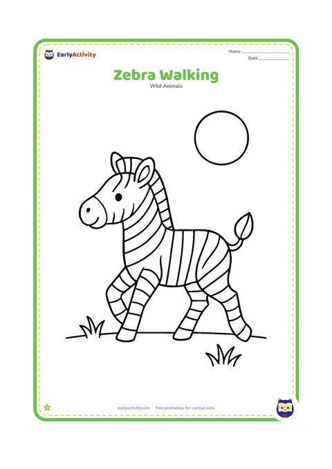 Colouring page: Draw one zebra walking toward the left with one front leg lifted and its tail raised slightly. Add a low horizon, two grass tufts and a large sun without facial details.