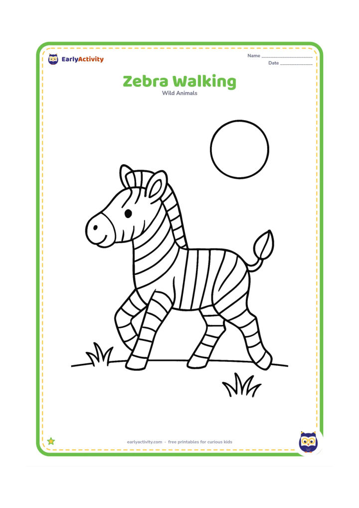 Colouring page: Draw one zebra walking toward the left with one front leg lifted and its tail raised slightly. Add a low horizon, two grass tufts and a large sun without facial details.