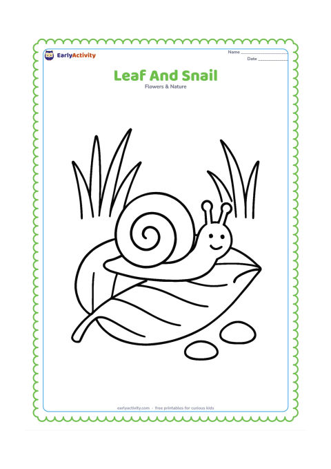 Colouring page: A large fallen leaf lies on the ground with a friendly snail crawling across its surface; add a few large grass blades and two simple pebbles.