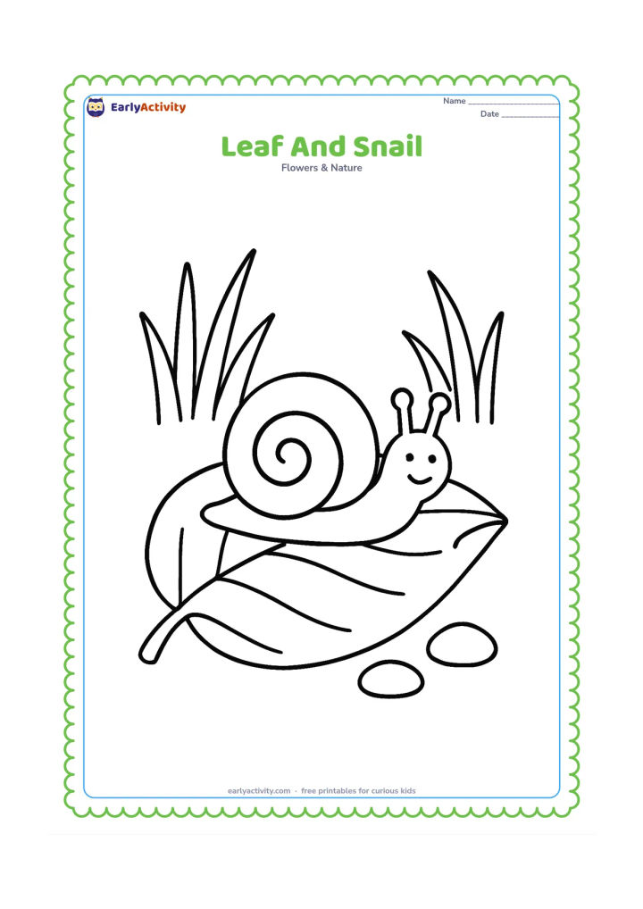 Colouring page: A large fallen leaf lies on the ground with a friendly snail crawling across its surface; add a few large grass blades and two simple pebbles.